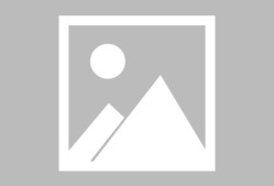 九游登录入口-里程碑夜斯图加特远射贴柱，德甲赛后刷纪录，质疑声仍在，阵容厚度经受考验的简单介绍