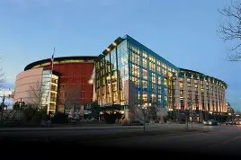 夏洛特黄蜂微博